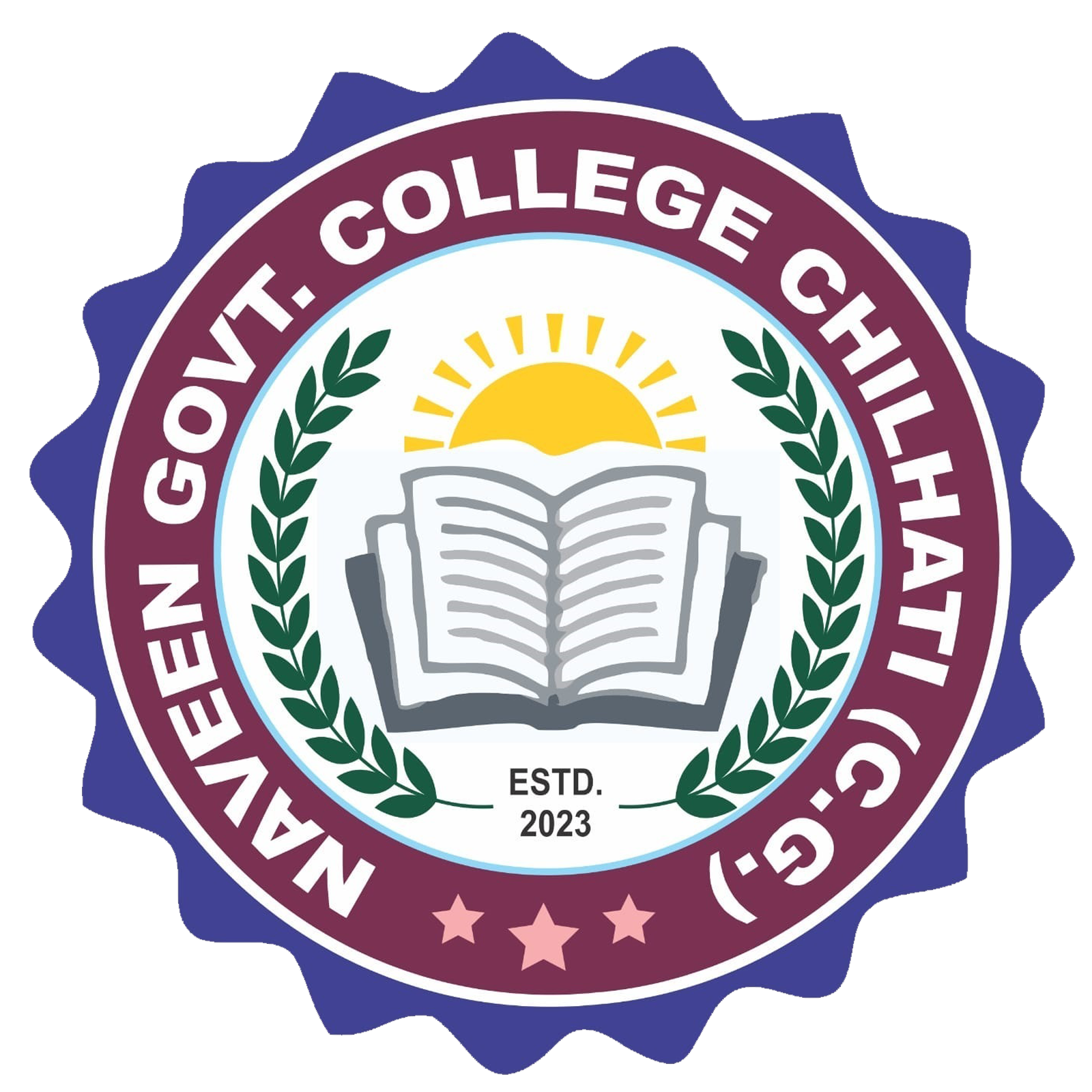 logo Naveen Government College Chilhati